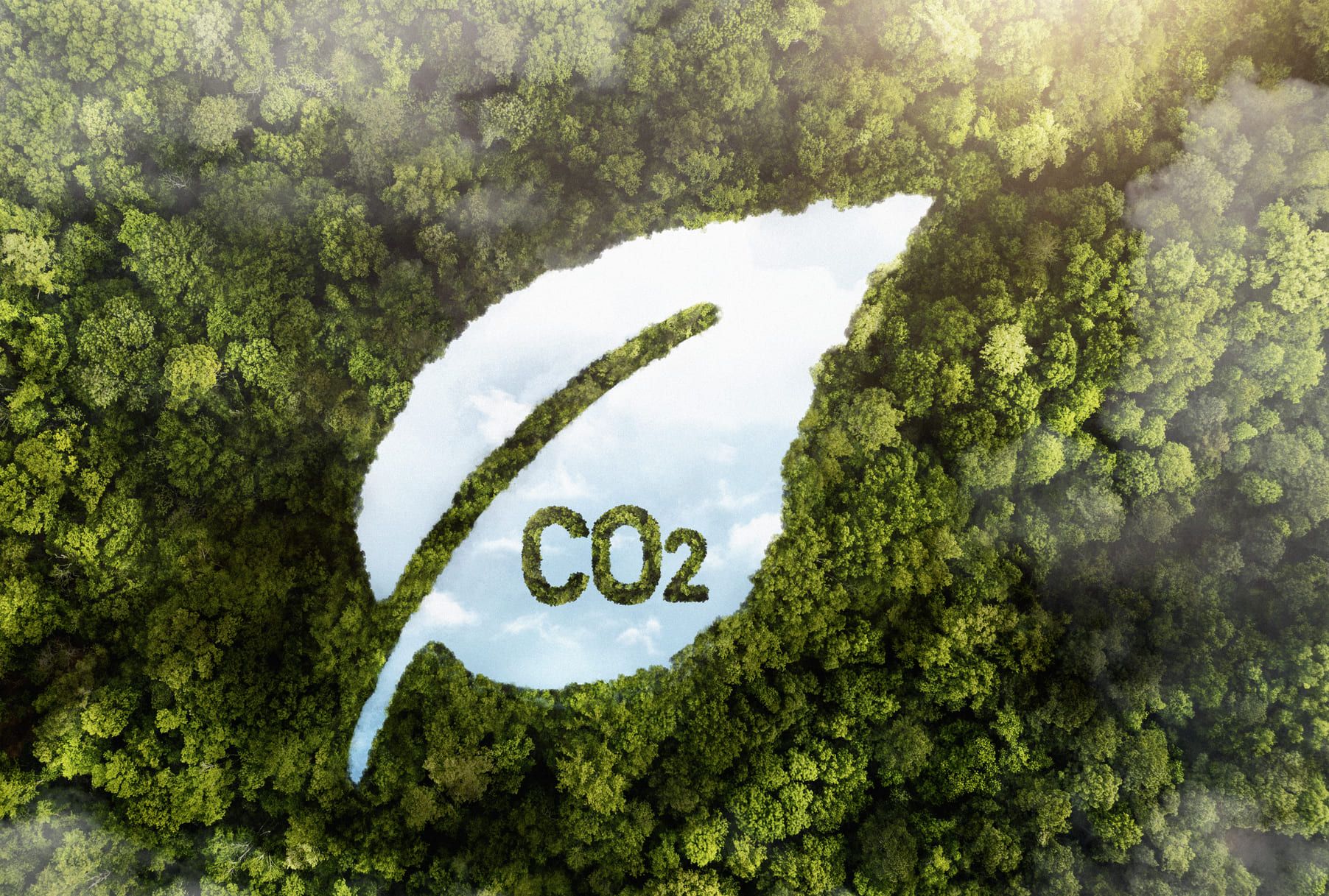 Karbon Ayak İzi Danışmanlığı